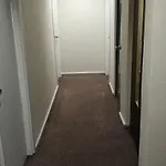 Akkus